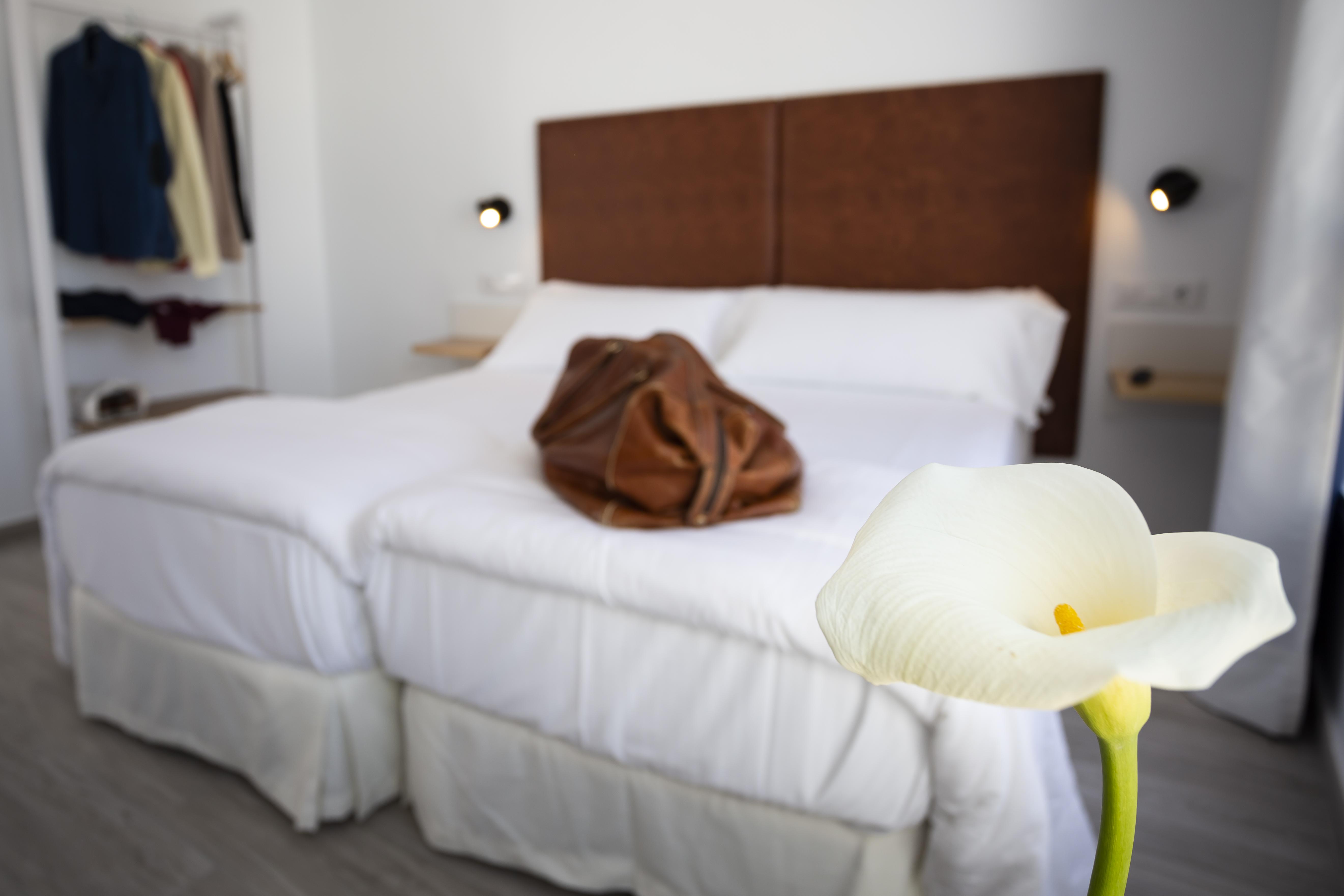Basic Hotel Sevilla Catedral Dış mekan fotoğraf